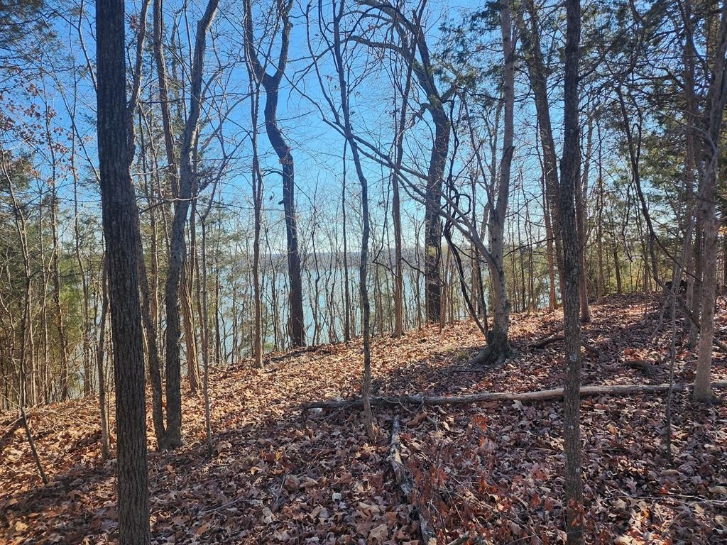 Waterfront Lot in Cadiz, KY