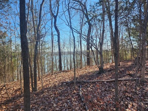Waterfront Lot in Cadiz, KY