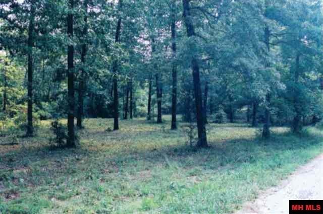 Picture 4