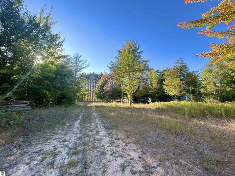 Vacant Lot/Land, Thompsonville, MI