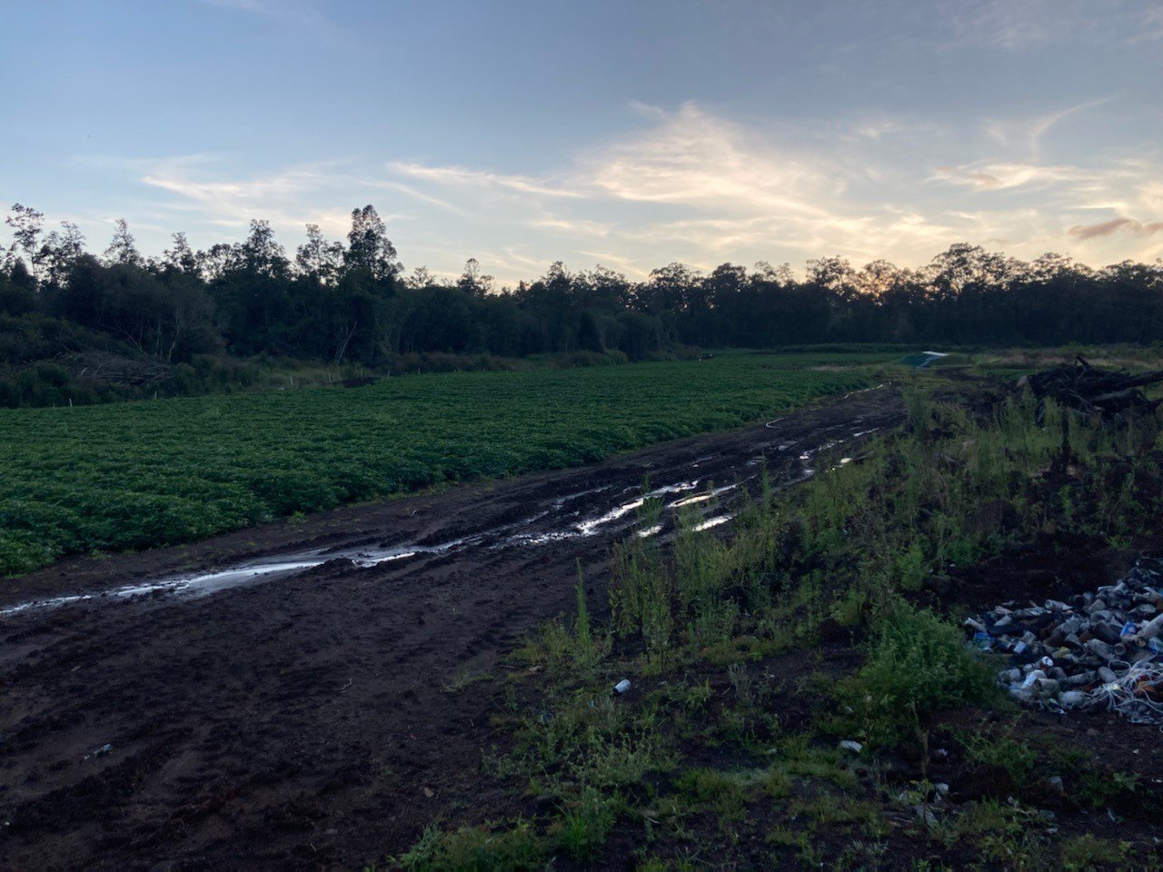 Volcano Agricultural Land For Sale