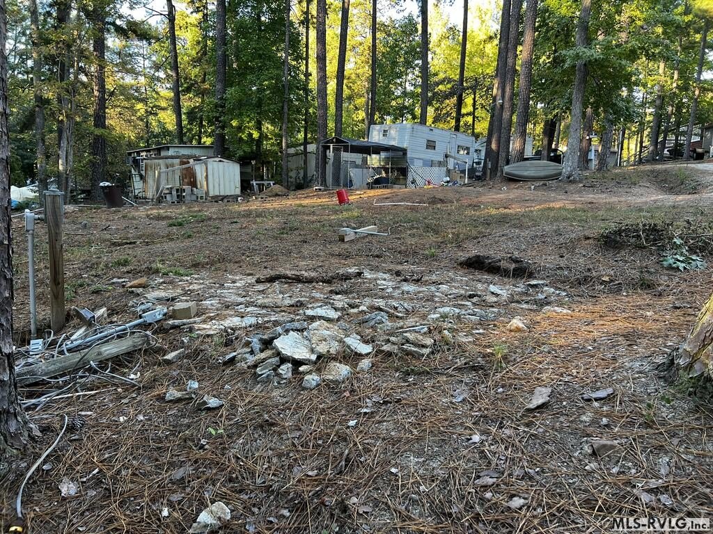 Picture 3