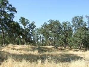 Land in Private Millville Setting