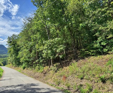 Sevierville Land with No Restrictions