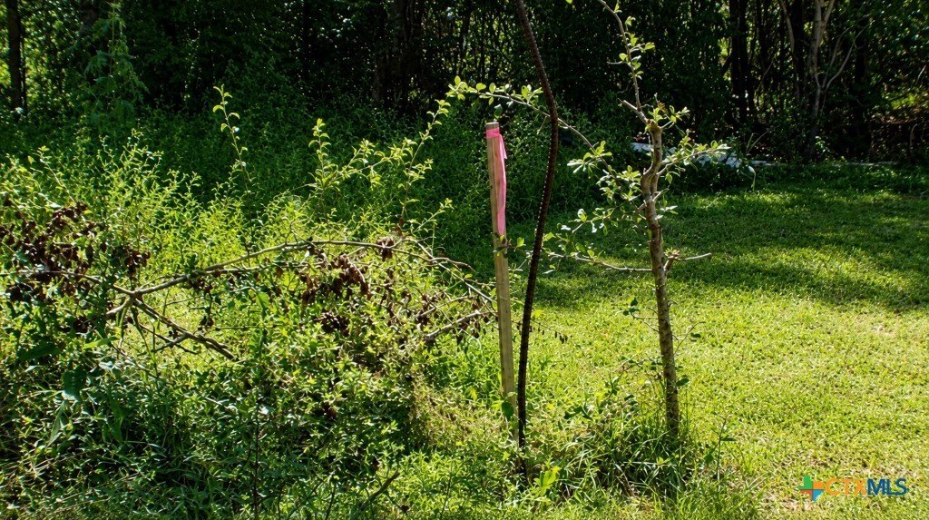 Picture 7