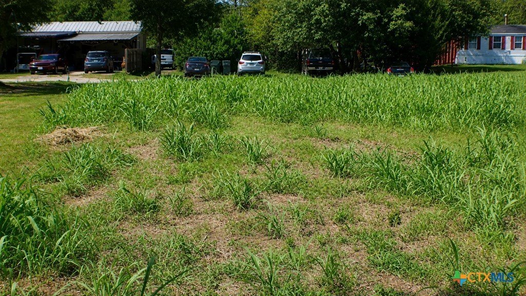 Picture 3