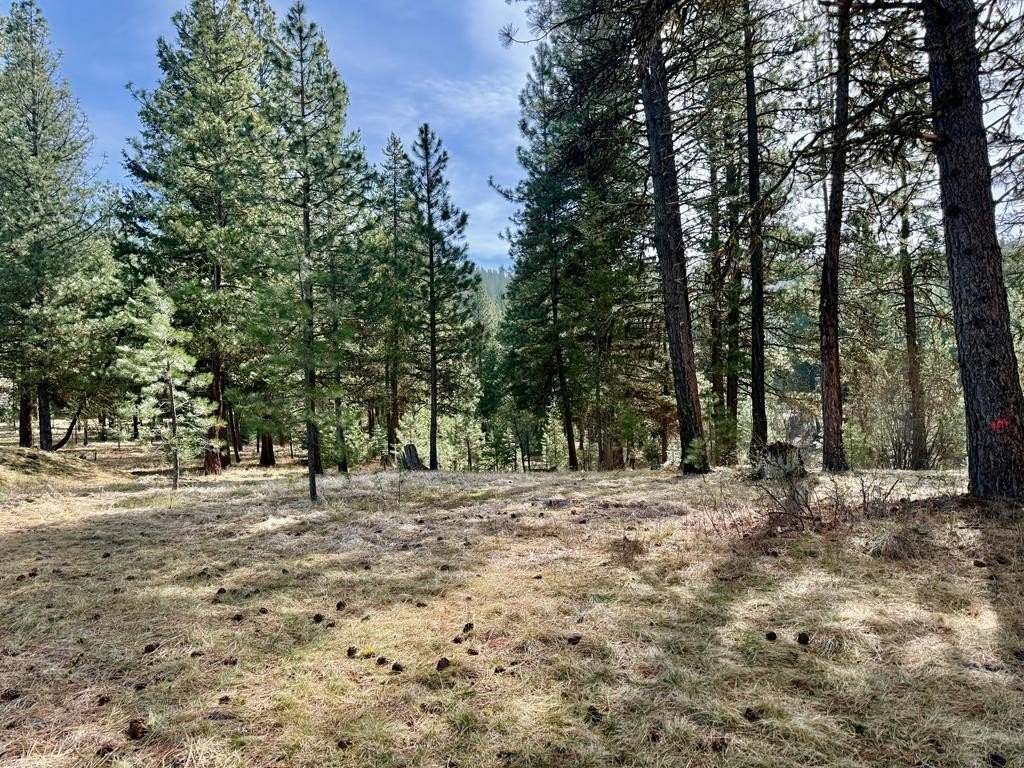Residential Land in Golf Community