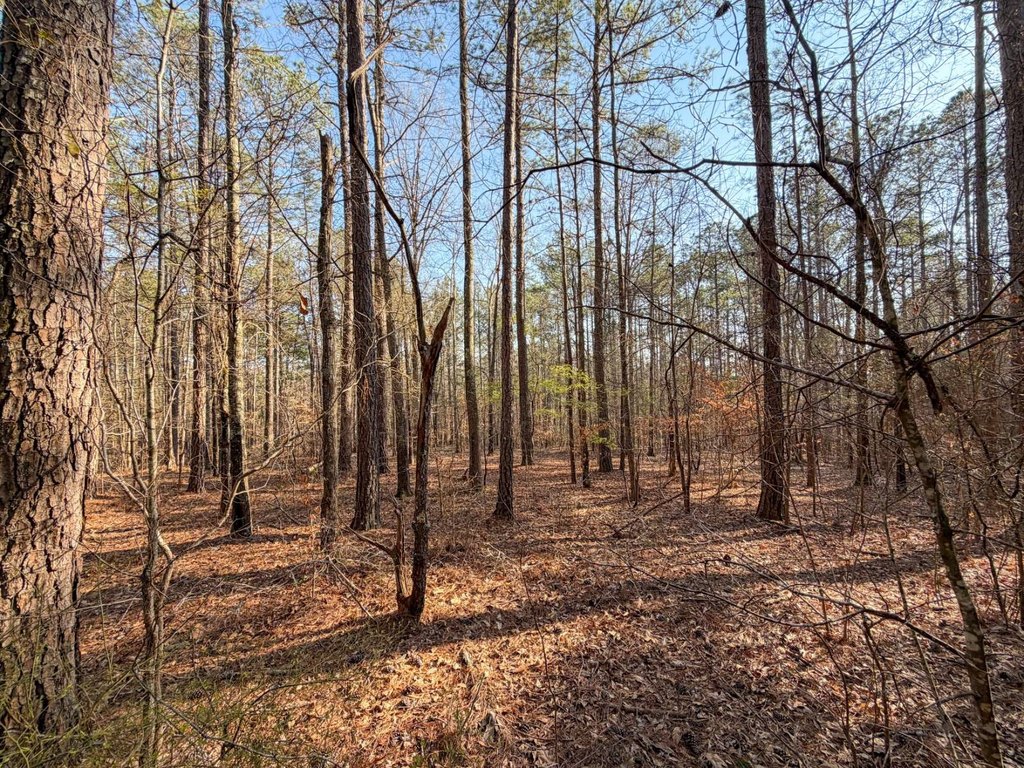 Picture 47