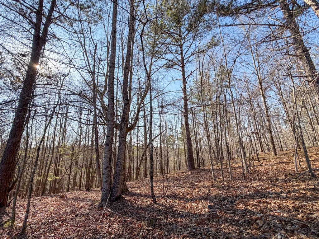 Picture 41