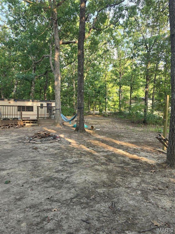 Picture 21