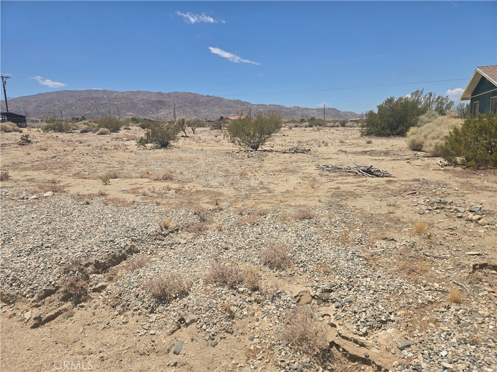 Picture 2