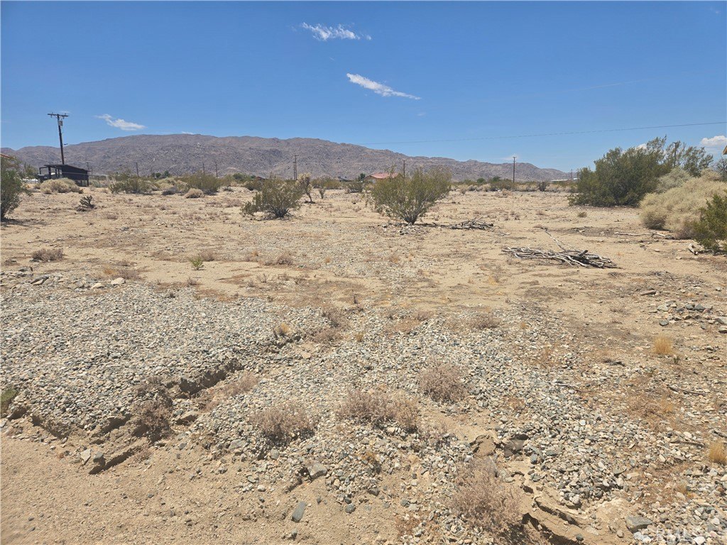 Picture 3