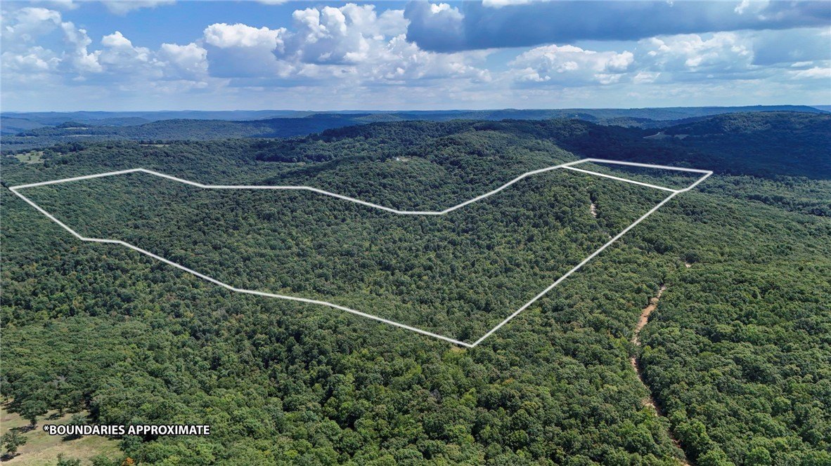 160 Acres of Land, Elkins