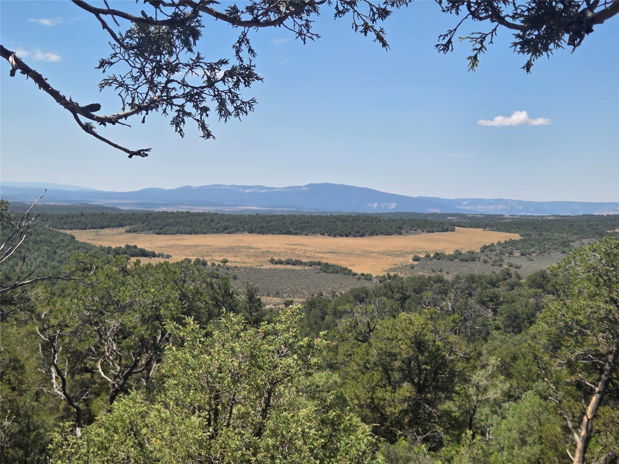 Tierra Amarilla Land For Sale