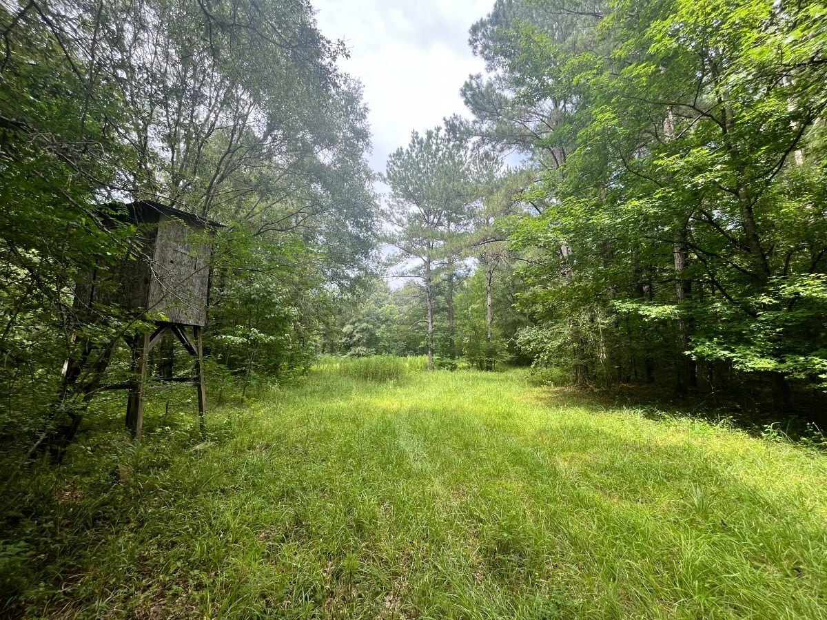 Secluded Hunting and Recreational Land