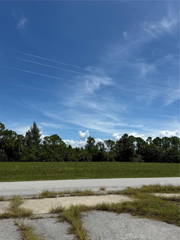 Picture 3