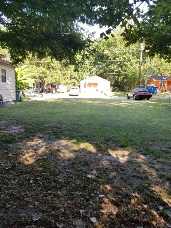 Picture 3