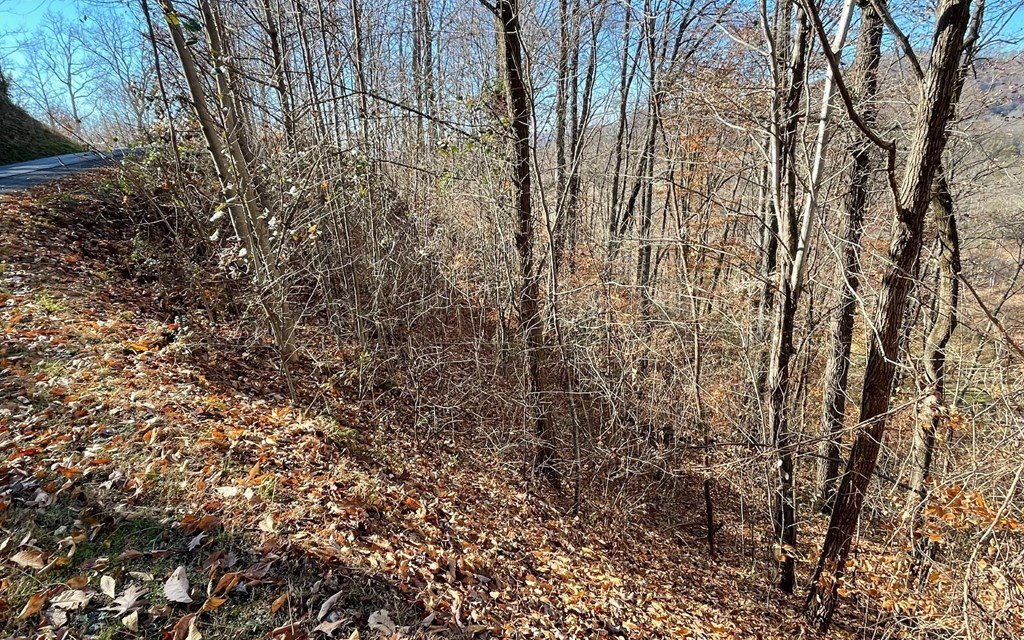 Picture 20