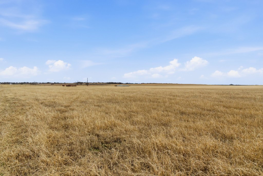 Picture 33