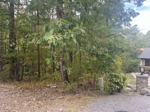 Vacant Land, Hot Springs Village, AR