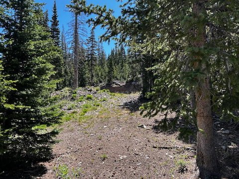 Residential Lot in Brian Head, UT