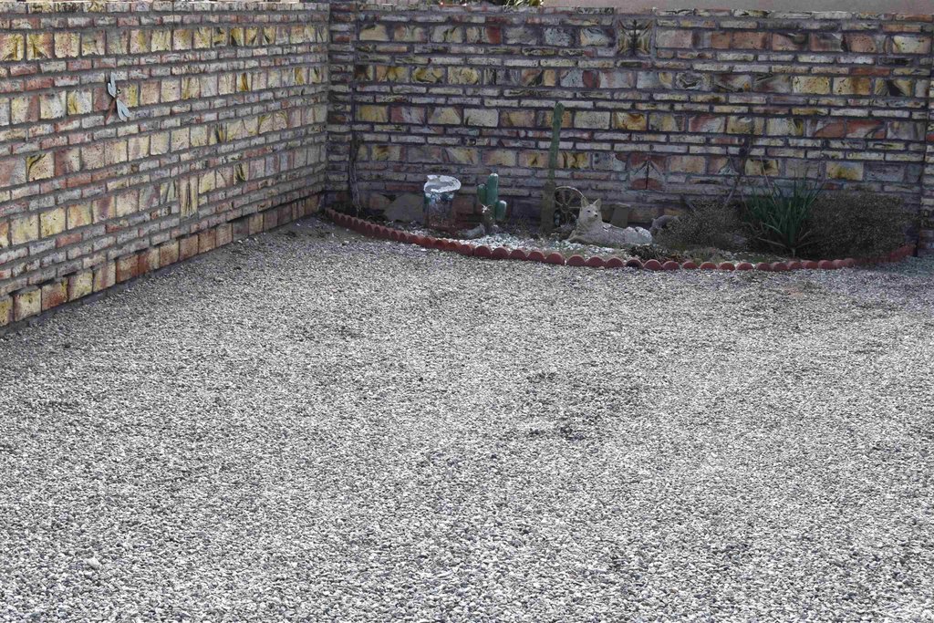 Picture 23