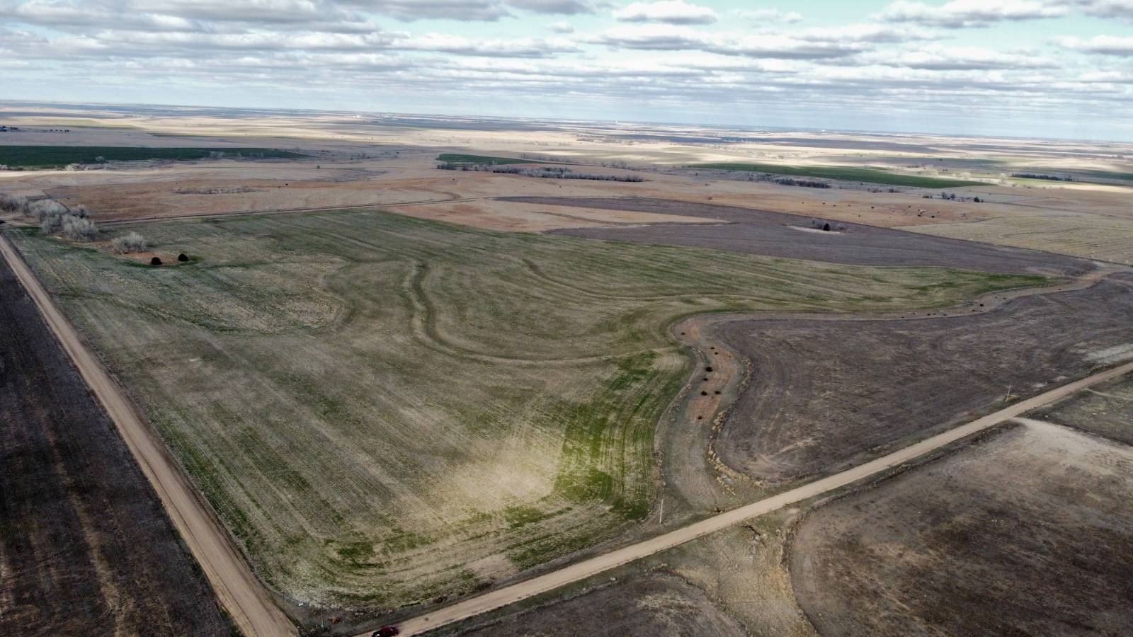 Productive Farm Ground in Rush County