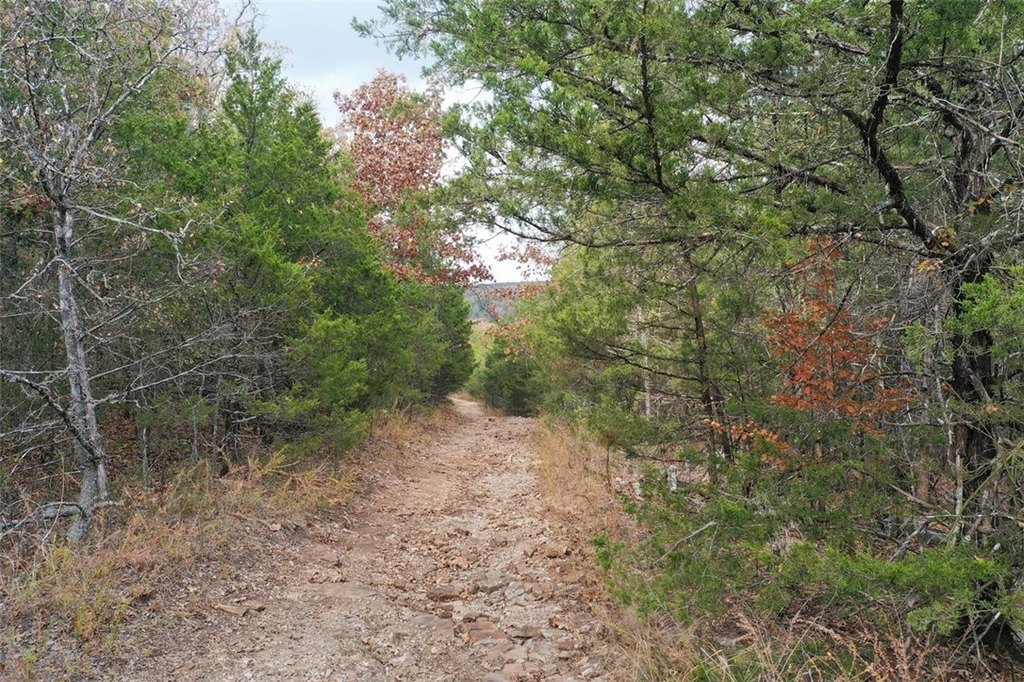 Picture 34