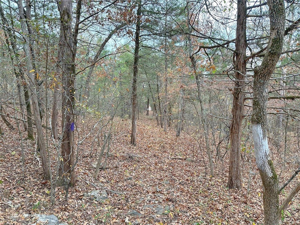 Picture 35