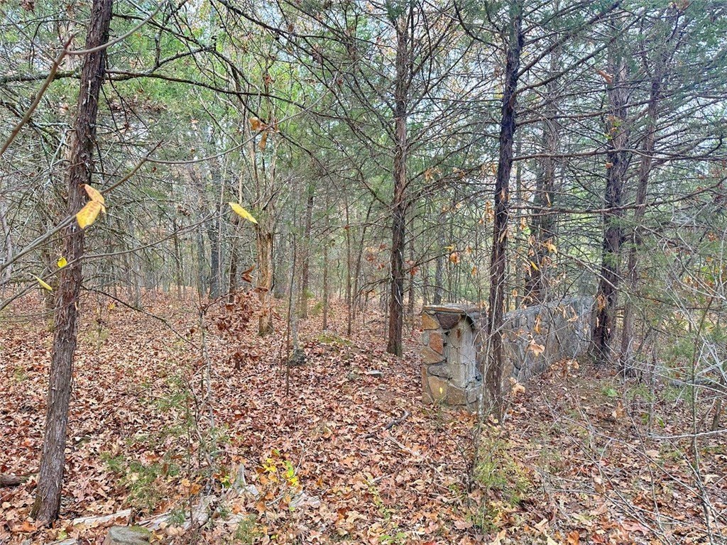 Picture 36