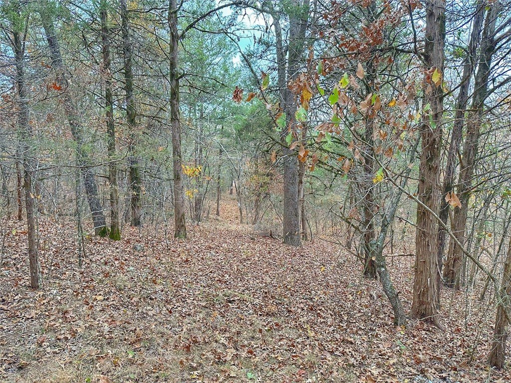Picture 38