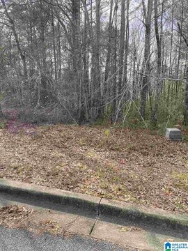 Residential Lot in Gracelynn Heights