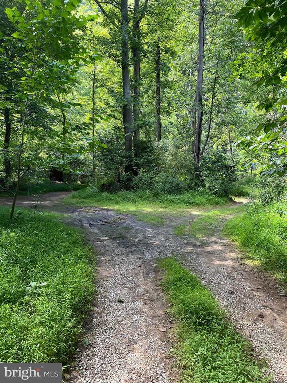 Picture 27