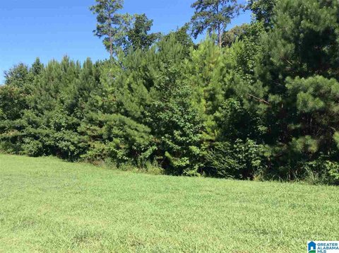 Residential Lot in Birmingham, AL