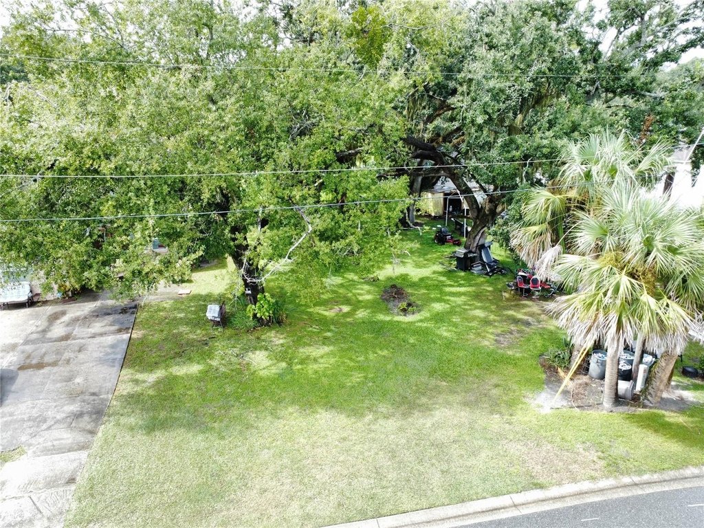 Picture 25