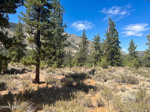 LAND - Carson City, NV