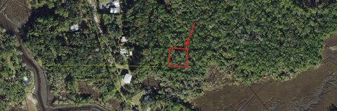 LAND - Crawfordville, FL