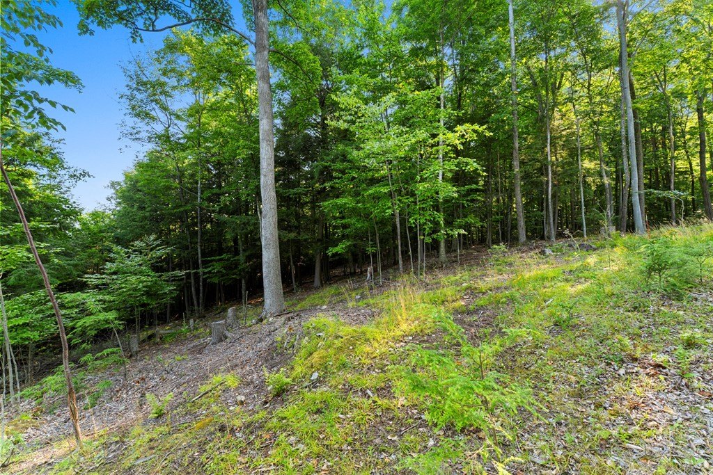 Picture 25