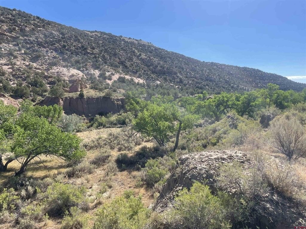 Cortez, CO Land For Sale