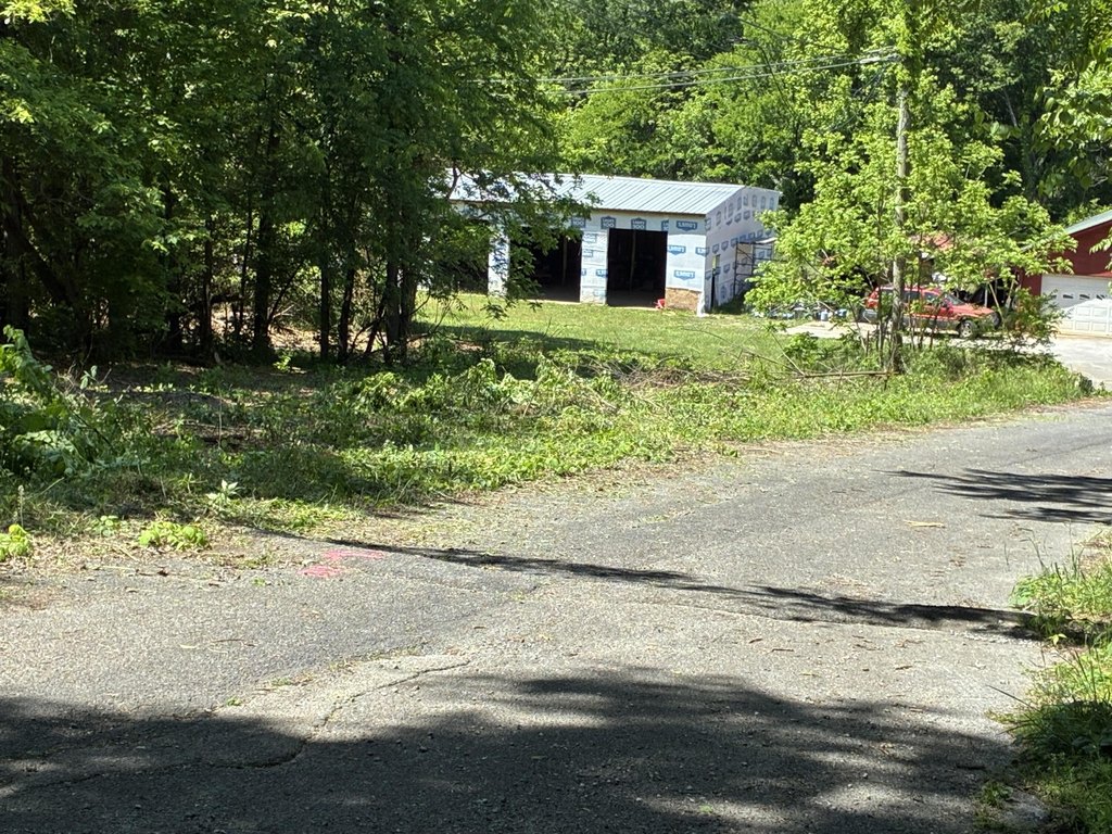 Picture 17
