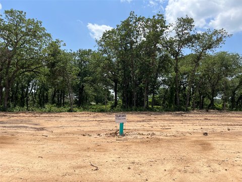 Tolar, TX Treed Land Lot