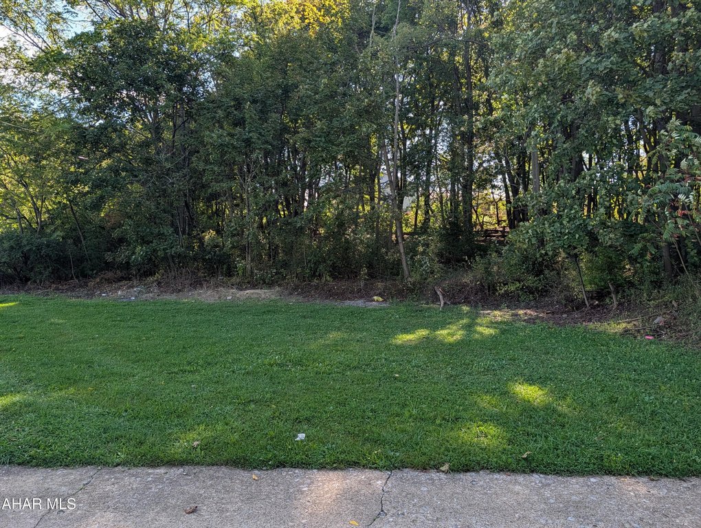 Picture 2