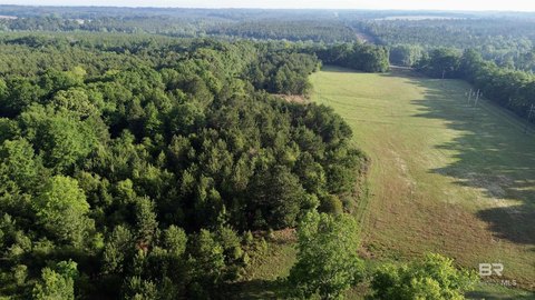 Recreational Land with Hayfield