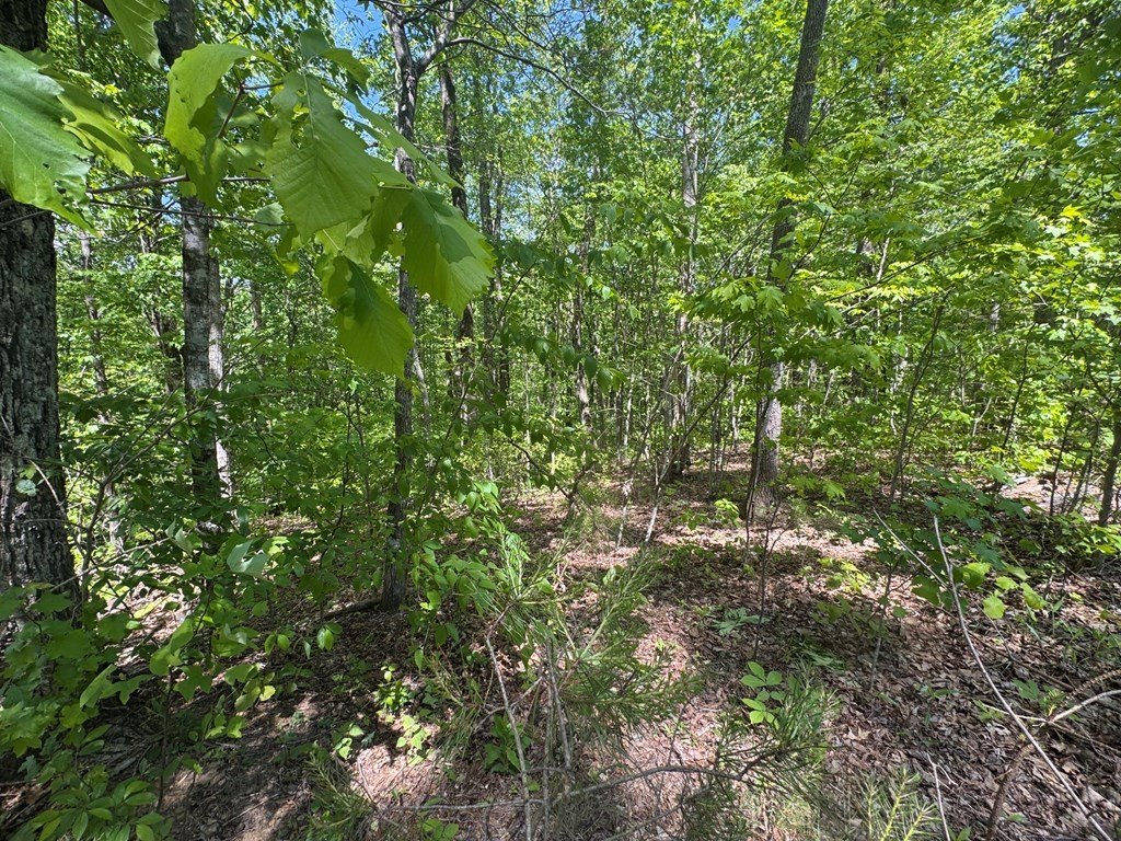 Picture 7