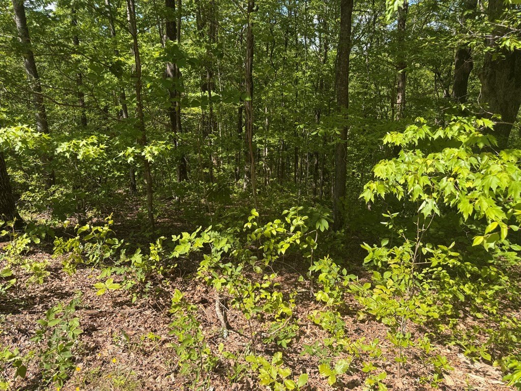 Picture 11