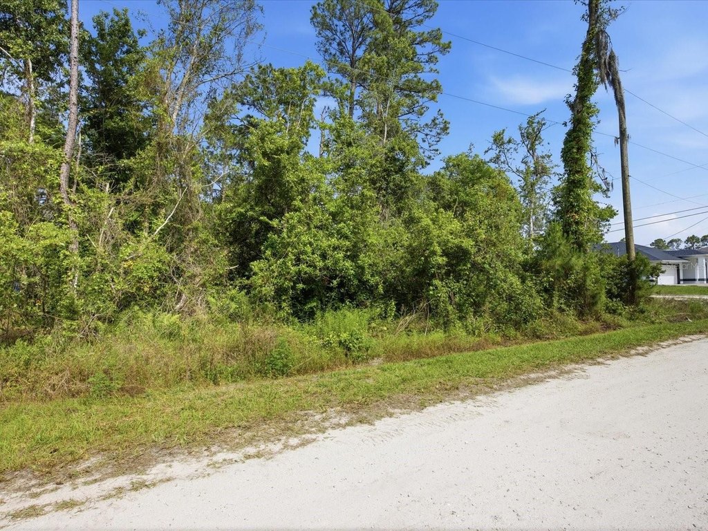 Picture 6