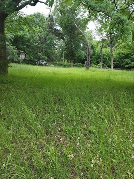 Unimproved Land Near Lake