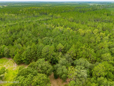 LAND - Waycross, GA