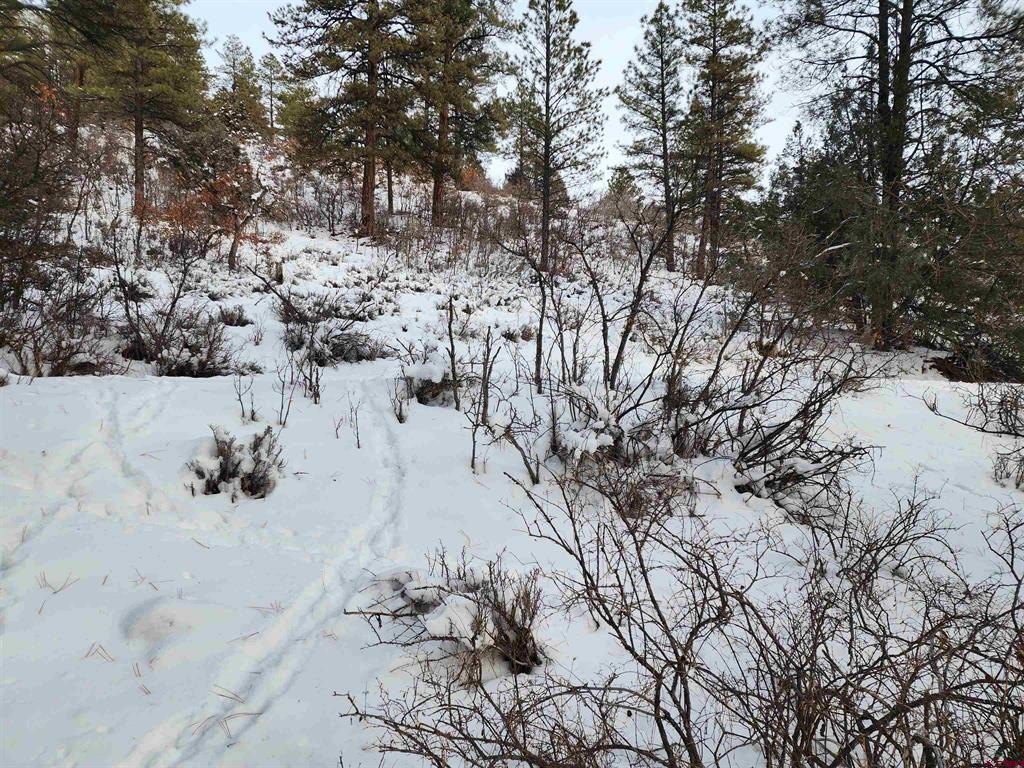 Picture 5