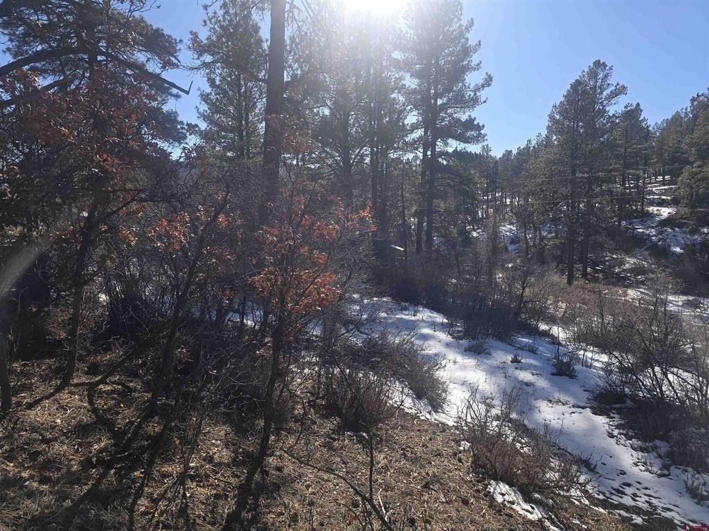 Land in Pagosa Springs, CO
